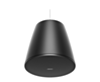 Bose Professional Designmax DM10P-SUB Pendant Subwoofer (Single) - Black