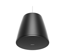 Bose Professional Designmax DM10P-SUB Pendant Subwoofer (Single) - Black