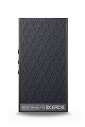 Astell&amp;Kern AK PA10