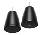 Bose Professional Designmax DM5P Pendant Loudspeakers (Pair) - Black