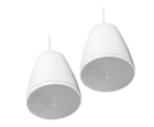 Bose Professional Designmax DM5P Pendant Loudspeakers (Pair) - White