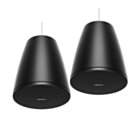 Bose Professional Designmax DM6PE Pendant Loudspeakers (Pair) - Black