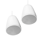 Bose Professional Designmax DM6PE Pendant Loudspeakers (Pair) - White